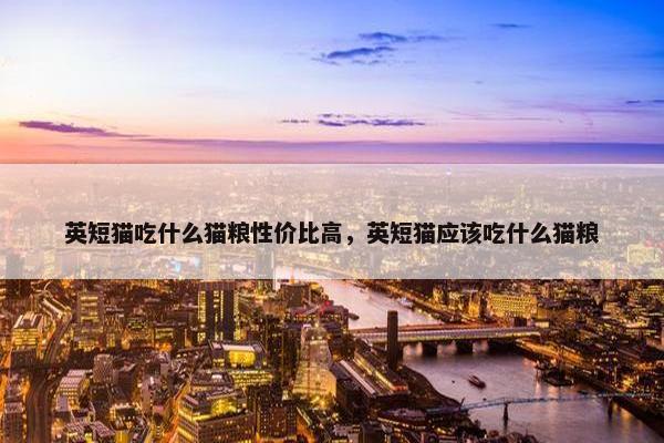 英短猫吃什么猫粮性价比高，英短猫应该吃什么猫粮