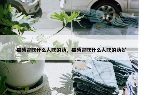 猫感冒吃什么人吃的药，猫感冒吃什么人吃的药好