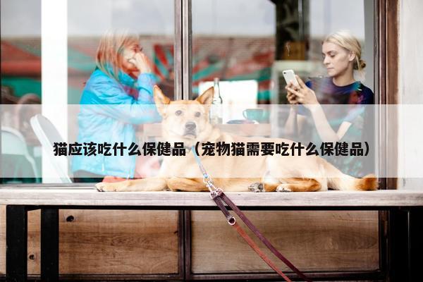 猫应该吃什么保健品（宠物猫需要吃什么保健品）