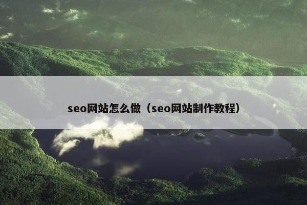 seo网站怎么做（seo网站制作教程）