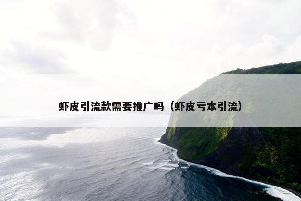 虾皮引流款需要推广吗（虾皮亏本引流）