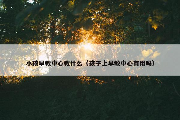 小孩早教中心教什么（孩子上早教中心有用吗）