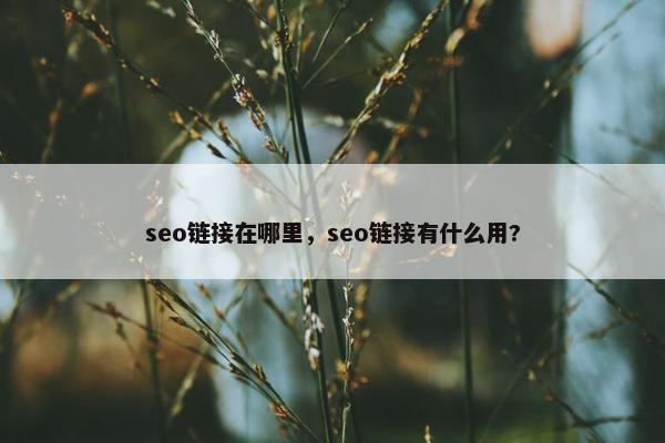 seo链接在哪里，seo链接有什么用?