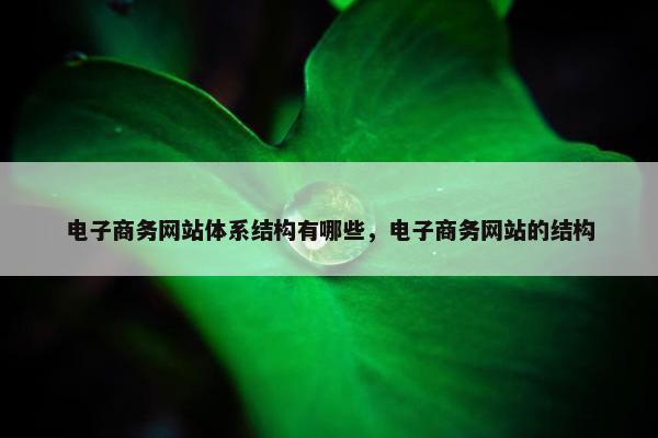 电子商务网站体系结构有哪些，电子商务网站的结构