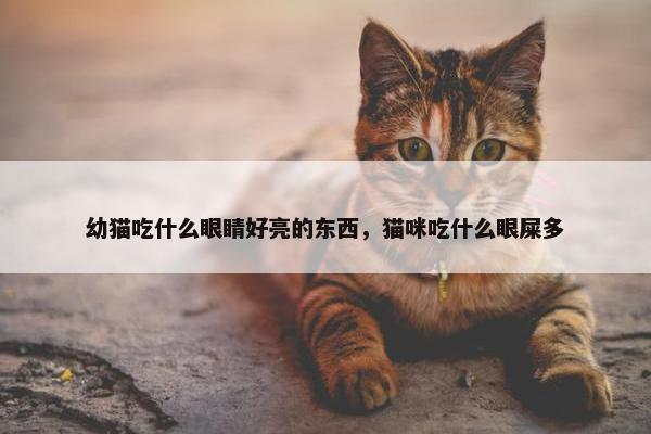 幼猫吃什么眼睛好亮的东西，猫咪吃什么眼屎多