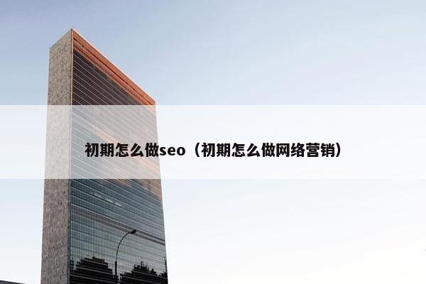 初期怎么做seo（初期怎么做网络营销）