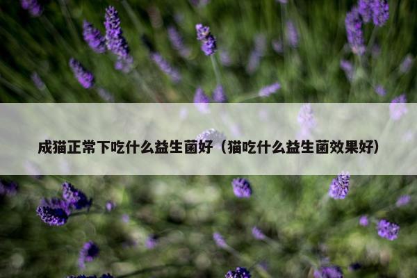 成猫正常下吃什么益生菌好（猫吃什么益生菌效果好）