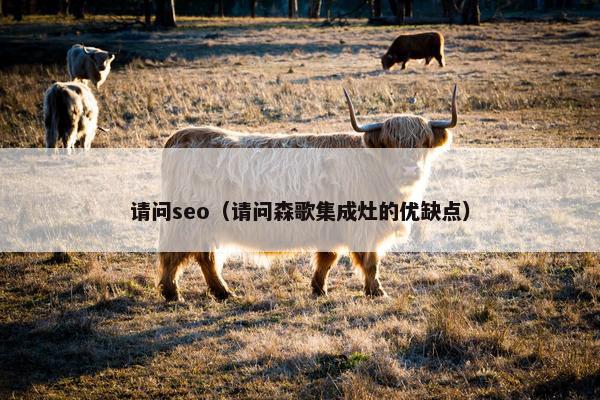 请问seo（请问森歌集成灶的优缺点）