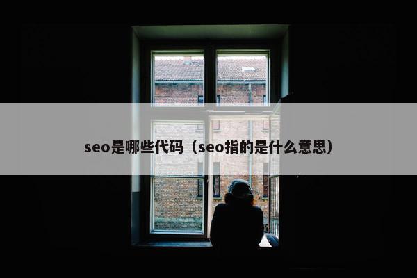 seo是哪些代码（seo指的是什么意思）