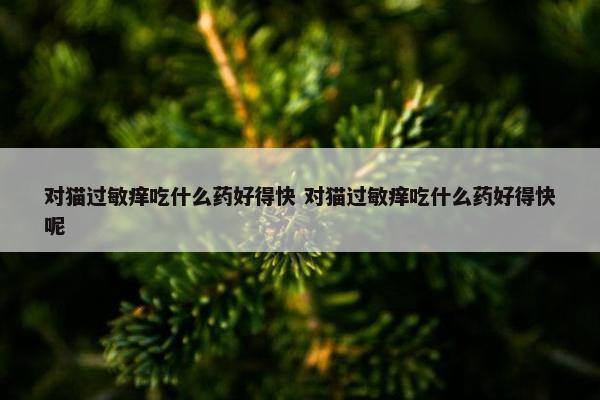 对猫过敏痒吃什么药好得快 对猫过敏痒吃什么药好得快呢