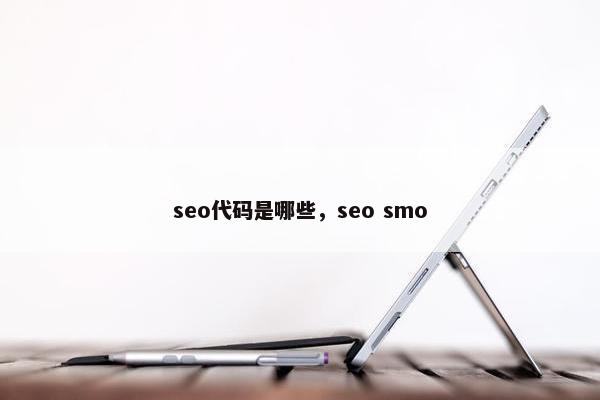 seo代码是哪些，seo smo