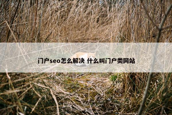 门户seo怎么解决 什么叫门户类网站