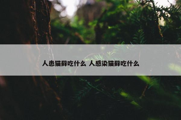 人患猫藓吃什么 人感染猫藓吃什么