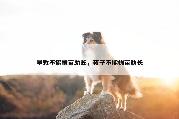 早教不能拔苗助长，孩子不能拔苗助长