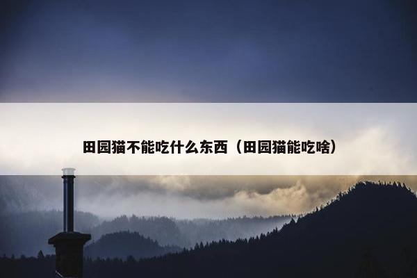 田园猫不能吃什么东西（田园猫能吃啥）