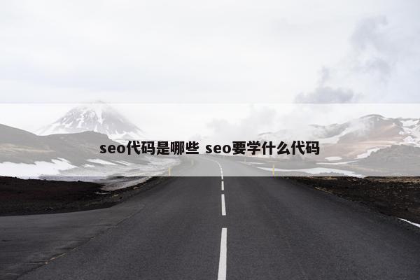 seo代码是哪些 seo要学什么代码