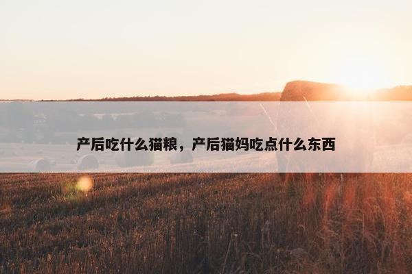 产后吃什么猫粮，产后猫妈吃点什么东西