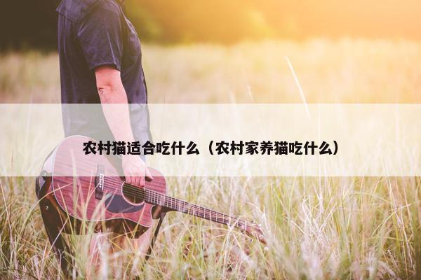 农村猫适合吃什么（农村家养猫吃什么）