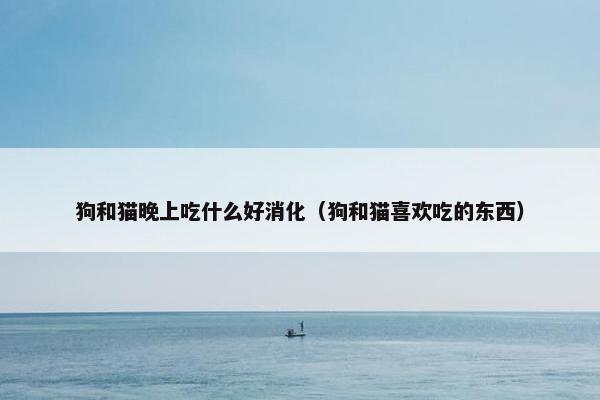 狗和猫晚上吃什么好消化（狗和猫喜欢吃的东西）