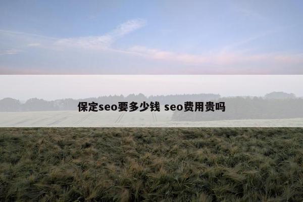 保定seo要多少钱 seo费用贵吗