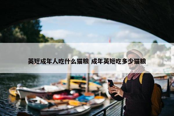 英短成年人吃什么猫粮 成年英短吃多少猫粮