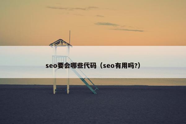 seo要会哪些代码（seo有用吗?）