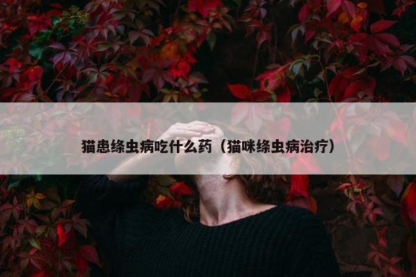 猫患绦虫病吃什么药（猫咪绦虫病治疗）