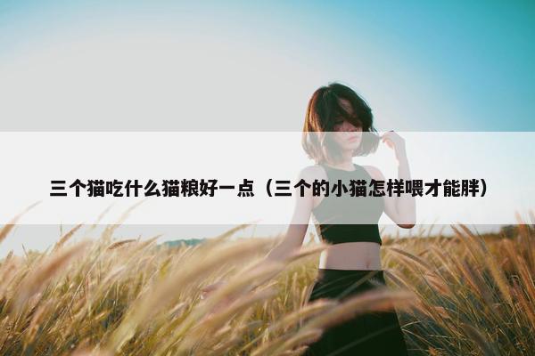 三个猫吃什么猫粮好一点（三个的小猫怎样喂才能胖）