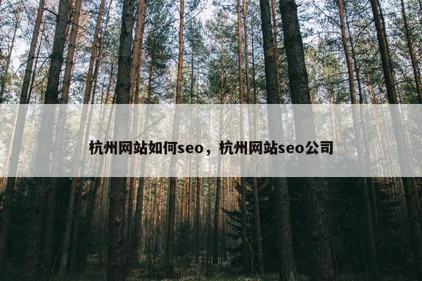 杭州网站如何seo，杭州网站seo公司