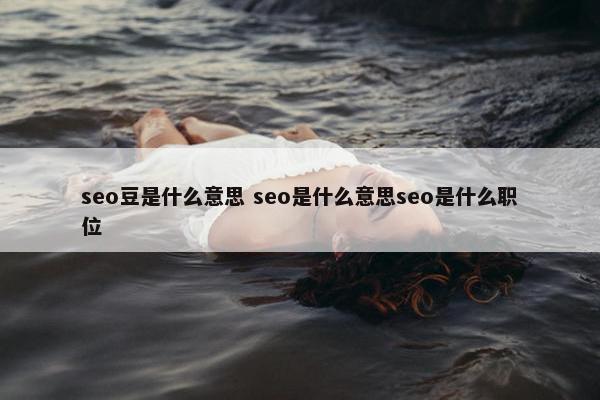 seo豆是什么意思 seo是什么意思seo是什么职位