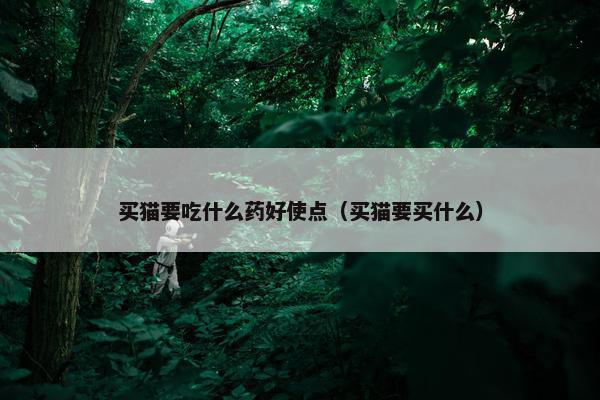 买猫要吃什么药好使点（买猫要买什么）