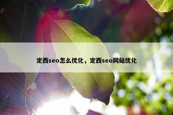 定西seo怎么优化，定西seo网站优化