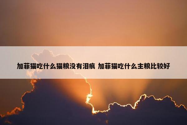 加菲猫吃什么猫粮没有泪痕 加菲猫吃什么主粮比较好