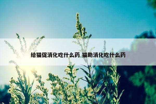 给猫促消化吃什么药 猫助消化吃什么药