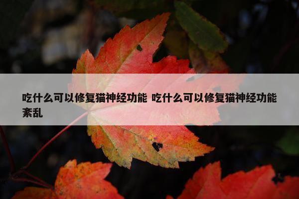 吃什么可以修复猫神经功能 吃什么可以修复猫神经功能紊乱