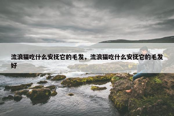 流浪猫吃什么安抚它的毛发，流浪猫吃什么安抚它的毛发好