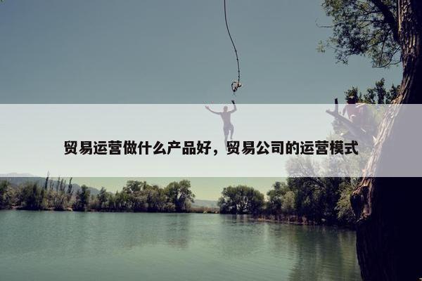 贸易运营做什么产品好，贸易公司的运营模式