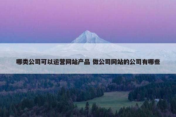 哪类公司可以运营网站产品 做公司网站的公司有哪些