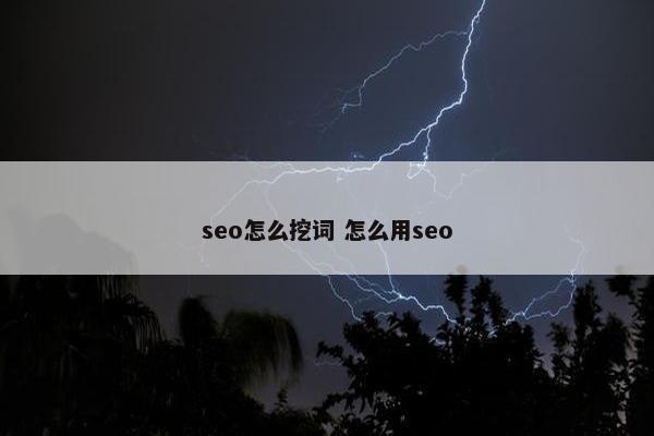 seo怎么挖词 怎么用seo