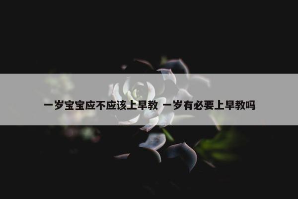 一岁宝宝应不应该上早教 一岁有必要上早教吗