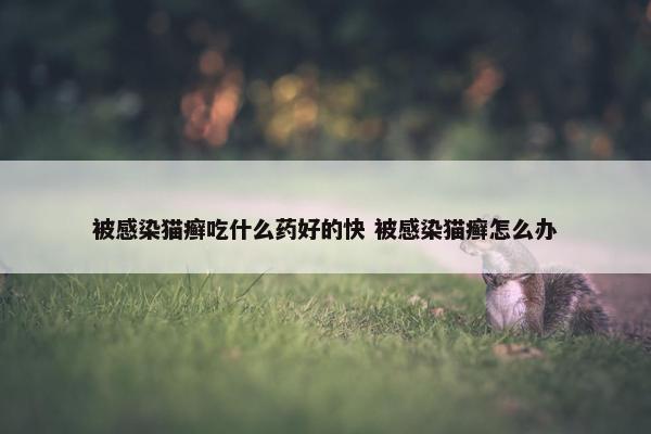 被感染猫癣吃什么药好的快 被感染猫癣怎么办