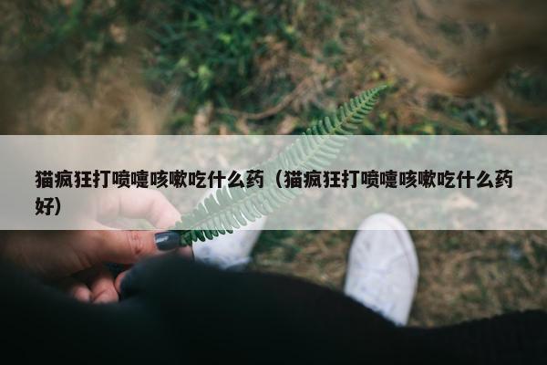 猫疯狂打喷嚏咳嗽吃什么药（猫疯狂打喷嚏咳嗽吃什么药好）