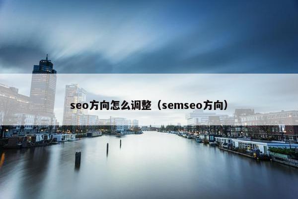 seo方向怎么调整（semseo方向）