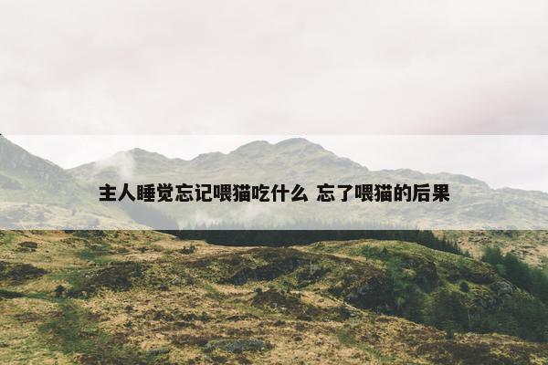 主人睡觉忘记喂猫吃什么 忘了喂猫的后果