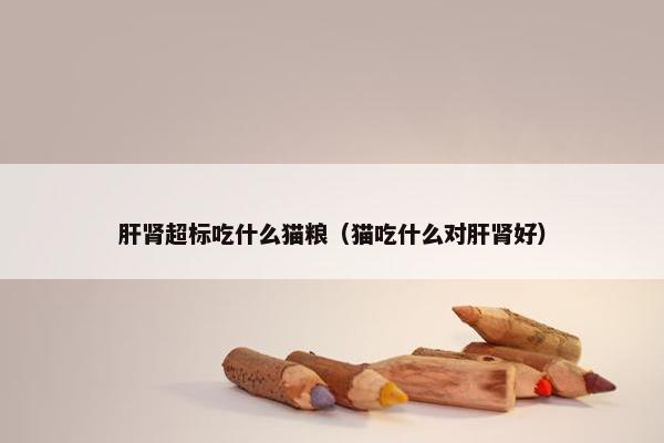 肝肾超标吃什么猫粮（猫吃什么对肝肾好）