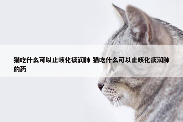 猫吃什么可以止咳化痰润肺 猫吃什么可以止咳化痰润肺的药