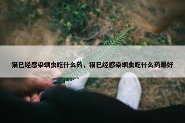 猫已经感染蛔虫吃什么药，猫已经感染蛔虫吃什么药最好