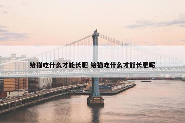 给猫吃什么才能长肥 给猫吃什么才能长肥呢