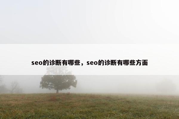 seo的诊断有哪些，seo的诊断有哪些方面