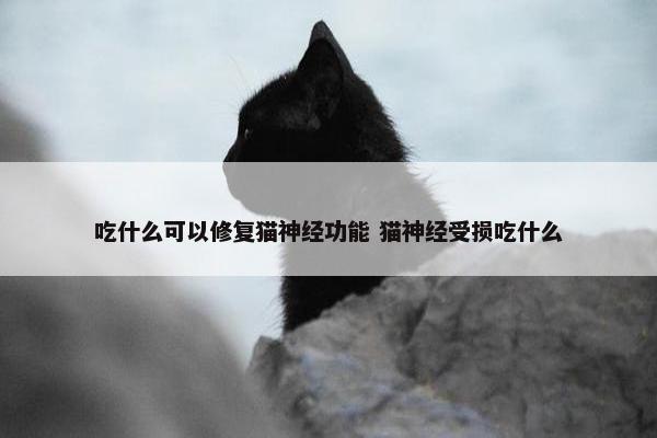 吃什么可以修复猫神经功能 猫神经受损吃什么